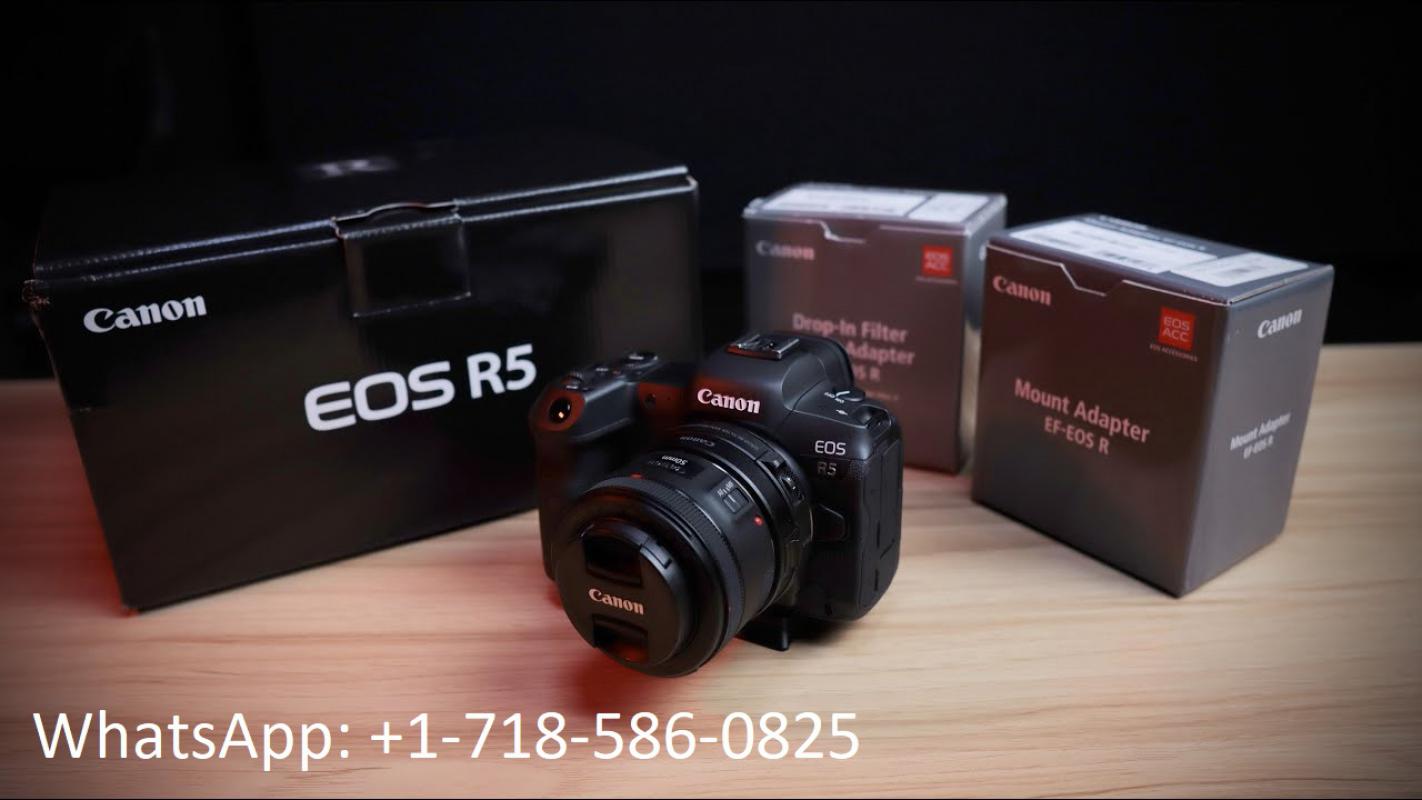 Canon EOS R5  Camera w/ RF24-105mm F4 L